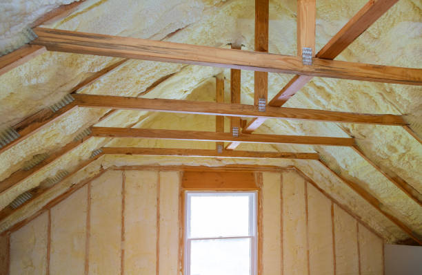 Types of Insulation We Offer in NV