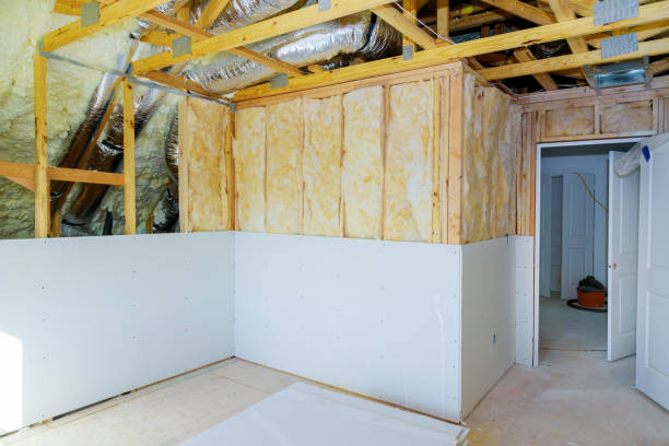 Best Commercial Insulation in Carson City, NV
